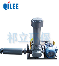 工業(yè)三葉羅茨風(fēng)機(jī) 工業(yè)三葉羅茨風(fēng)機(jī)